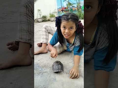 #shorts ||What creature is this, does anyone know 😁