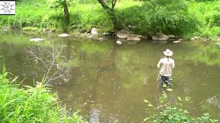 preview picture of video 'Bud Fly Fishing At Fews Ford'