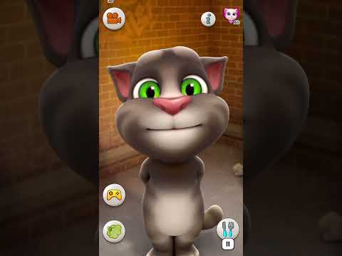 gali gali mein song by tom 😂🤣#tom #funny #comedy #cartoon #song #shorts