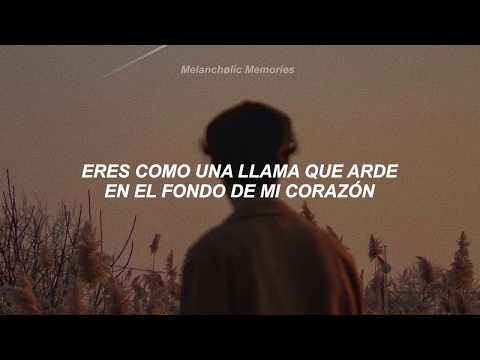 Chayanne - Y Tú Te Vas (Letra)