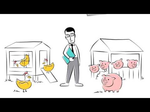 Initiative Tierwohl - Blick in die Praxis