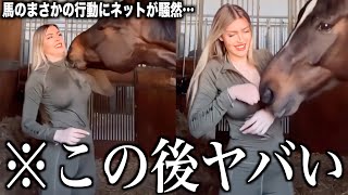 【神回】ツッコミどころ満載な動物のおもしろ動画見ようぜwwwwww傑作集②【ハプニング映像】【犬】【猫】