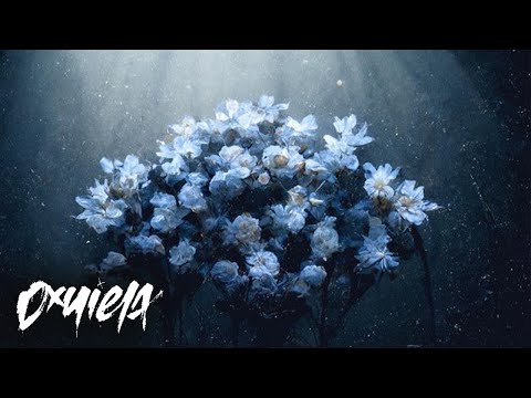 dxnielx - Upadá svět