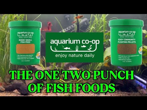 The One-Two Punch of Fish Food: Aquarium Co-Op Magic Feed + Community Floating Pellets