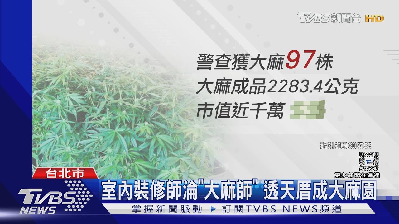 室內裝修師淪「大麻師」 透天厝成大麻園