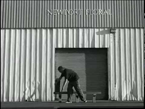 16 mm Montage from TWS - 'in bloom' [2002]