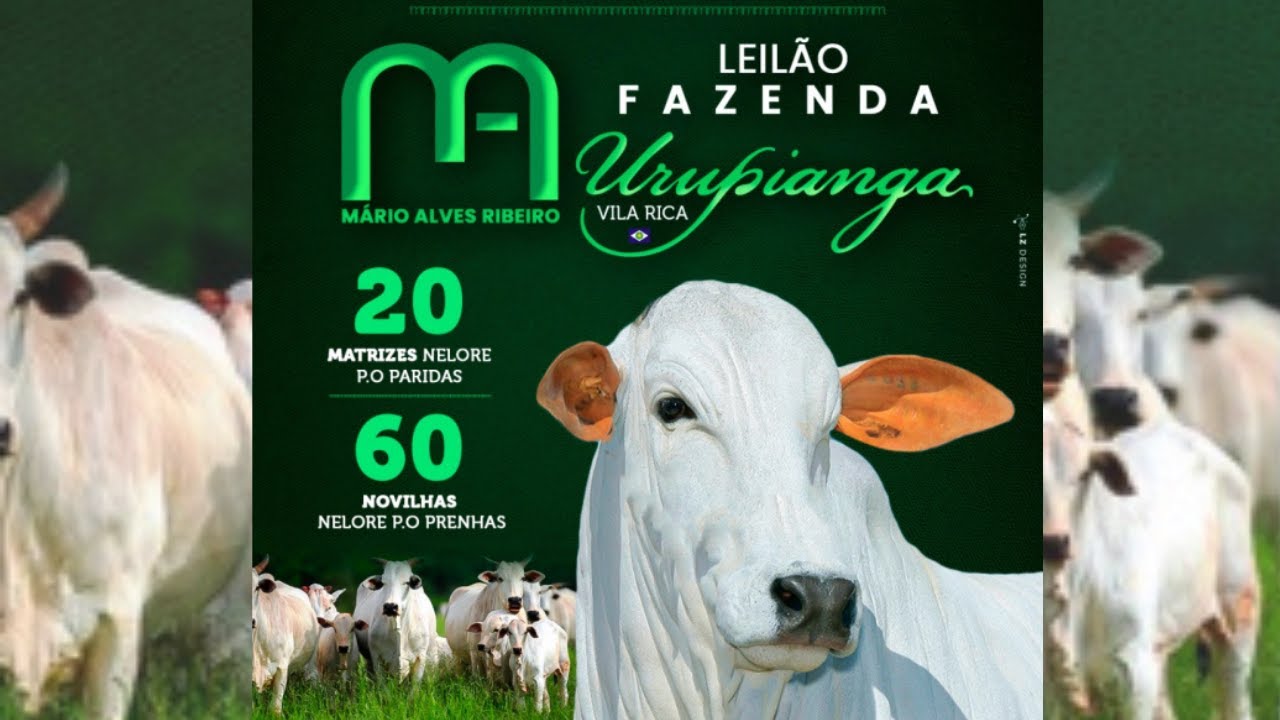 Leilão Virtual Urupianga - Matrizes | 14/11/2024 20H