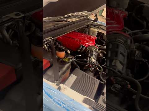 BTRstg2 cam. Whipple supercharged. 2019 Tahoe RST #whipplesupercharger #whipplesupercharged