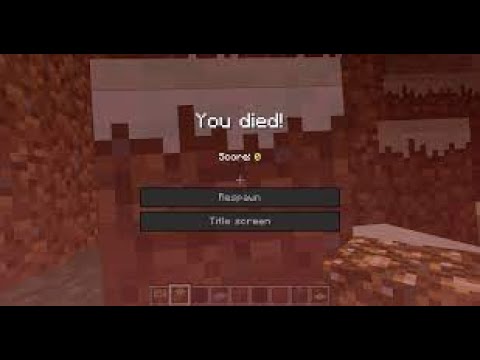 Moja smrt i verovatno kraj svega.