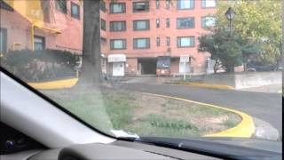 Giant Raccoon on the loose