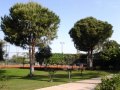 Турция Аланья Justiniano Club Park Conti 5* территория отеля ...