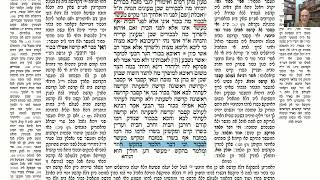 דף יומי מסכת מכות דף יט Daf yomi Masechet Makkot page 19  ע"י יוני גוטמן (שיעורי הדף היומי ב-20 דקות – מועבר ע"י ר' יוני גוטמן – לעילוי נשמת אביו ר' אלימלך צבי (צביקה) גוטמן ז"ל) - התמונה מוצגת ישירות מתוך אתר האינטרנט יוטיוב. זכויות היוצרים בתמונה שייכות ליוצרה. קישור קרדיט למקור התוכן נמצא בתוך דף הסרטון