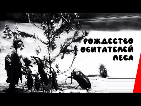 Рождество обитателей леса / The Insects' Christmas (1913) фильм смотреть онлайн