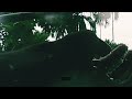 Feel The Music ️ Nature Videos WhatsApp Facebook Instagram Status