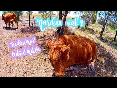 Meie elu Nardoo farmis vol 2