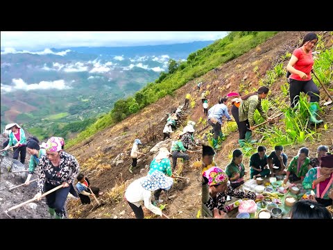 NCIG SAIB HMOOB KEV UA NOJ UA HAUS 2024