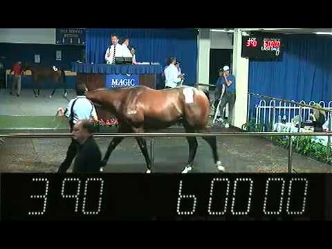 2012 Magic Millions Perth Yearling Sale Lots 286 - 476