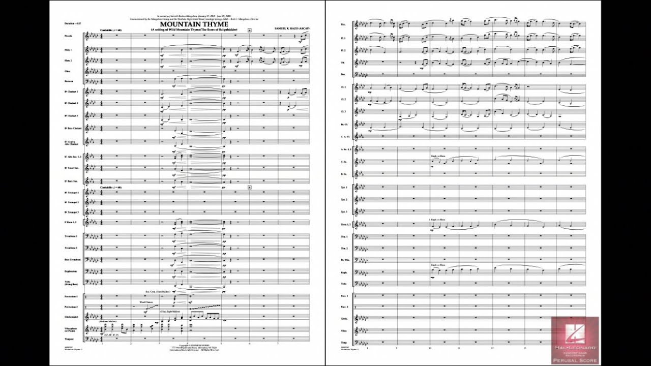 Mountain Thyme by Samuel R. Hazo