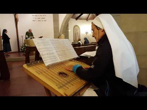 COME IL CERVO VA ALL'ACQUA VIVA