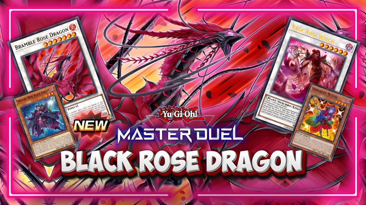 NEW BLACK ROSE DRAGON Support🌹 The Rose Blooms and Destroys Again! | Yu-Gi-Oh! Master Duel