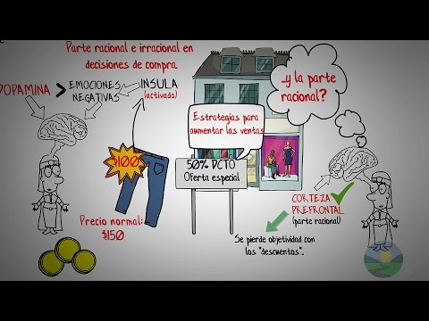 COMO DECIDIMOS: Y COMO TOMAR MEJORES DECISIONES  –JOHAN LEHRER-RESUMEN ANIMADO