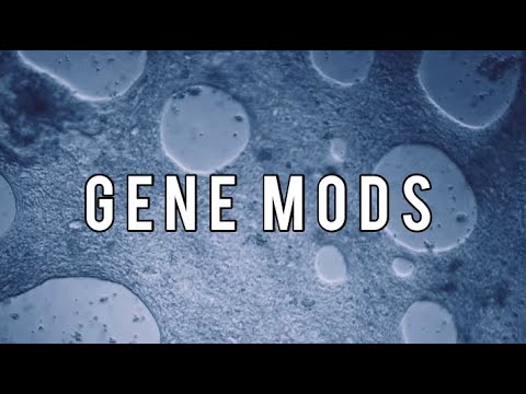 Istasha x outsiderx - Gene Mods HD Lyrics