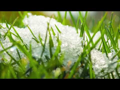 Spring Awakening – 3h30 Relaxing Chillout & Ambient Music | Nature Vibes for Relax, Work & Study