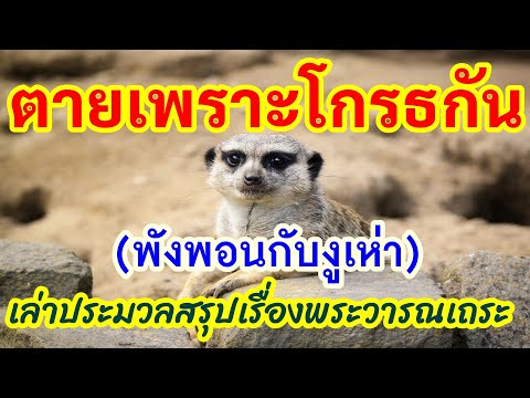 คลิกเพื่อดูคลิปวิดีโอ