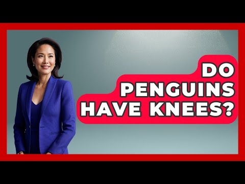Do Penguins Have Knees? - The Marine Life Explorer