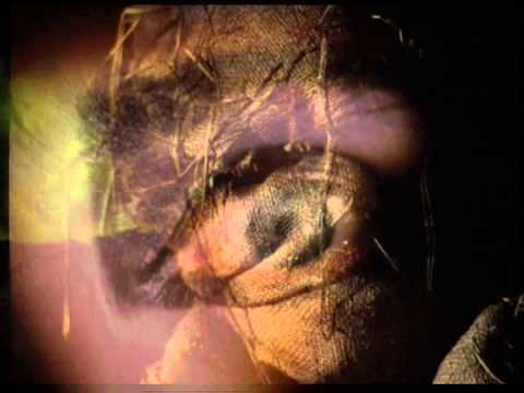 Siouxsie And The Banshees - Scarecrow (Music Video)