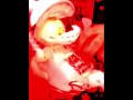 A Tickle Me Elmo Without Fur