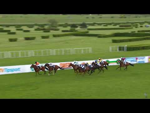 Dostihy Most 6. 5. 2023 - 2. dostih - Cena Dostihového klubu