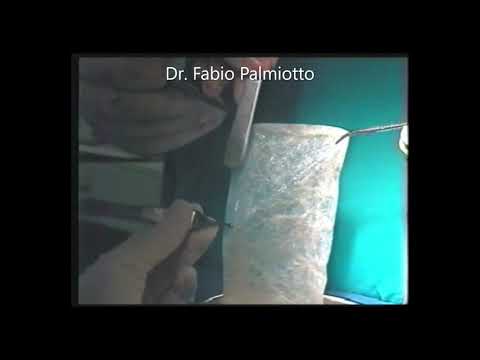 Fabio Palmiotto-8