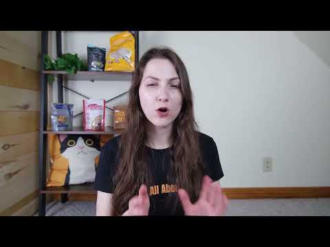 Orijen Tundra Freeze-Dried Cat Treats Review (We Tried It)