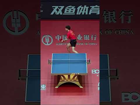 Fan Zhendong vs Lin Gaoyuan #fanzhendong #lingaoyuan #tabletennis #pingpong #wtt #ittf #shorts