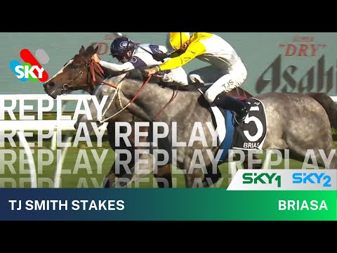 BRIASA WINS THE TJ SMITH STAKES