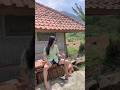 Mau Ketawa Takut Dosa Video Lucu Bkin Ngakak Hiburan Warga 62 Funny Videos