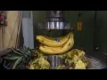 Hydraulic press kitchen: Fruit salad