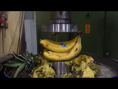 สลัดผลไม้