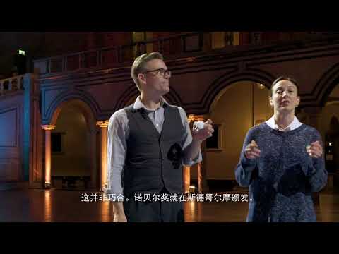 Stockholm Ping Pong - chinese subtitles