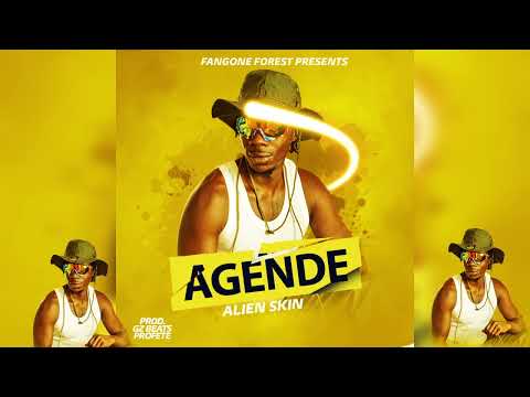 Alien skin - AGENDE ( Official Audio Music)