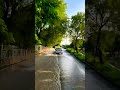 Masti Time Car Drive Status Shorts Viralvideo Trendingshorts Mostwanted