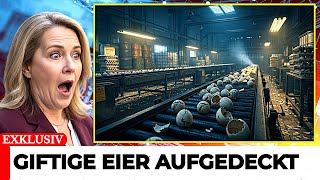 ESSEN SIE DIESE NICHT! 10 Eiermarken mit Antibiotika & Salmonellen (6 sind sicher)