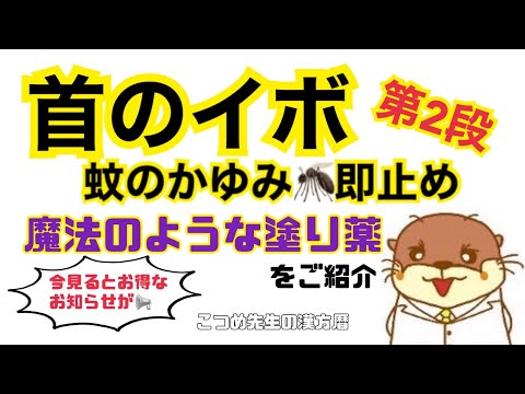 蚊と戦う - 最良の家庭療法 トピックス