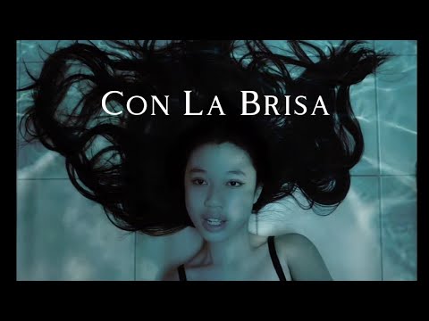 Con La Brisa-Foudeqush and Ludwig Göransson |Black Panther: Wakanda Forever Theme Cover & Visuals