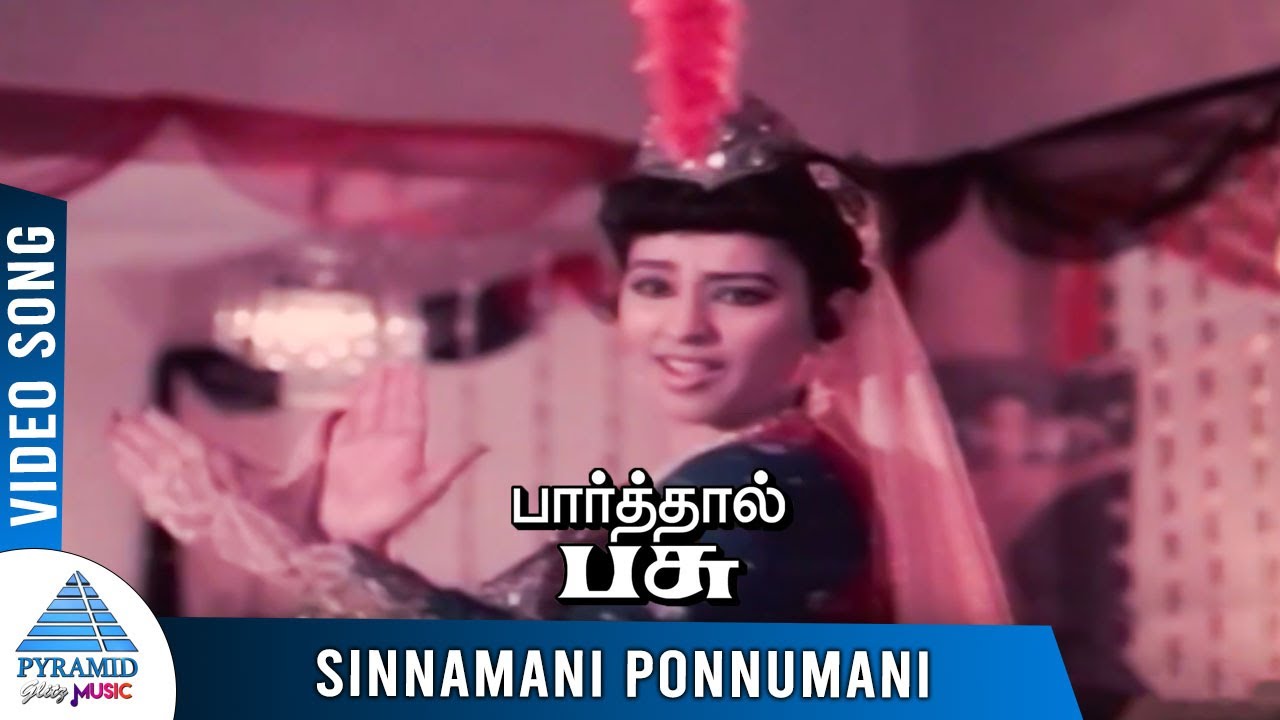 Sinnamani Ponnumani Song Lyrics | Paarthal Pasu