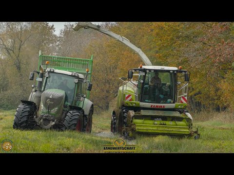 SCHLAMMSCHLACHT im Sumpf Gras häckseln EXTREM Fendt Traktoren bleiben im Moor stecken LU Thiemig
