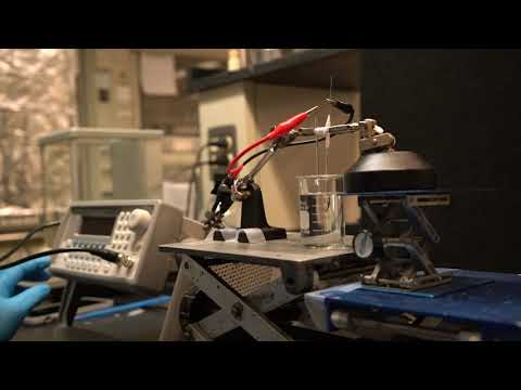 Tour an analytical chemistry lab at Wayne State University