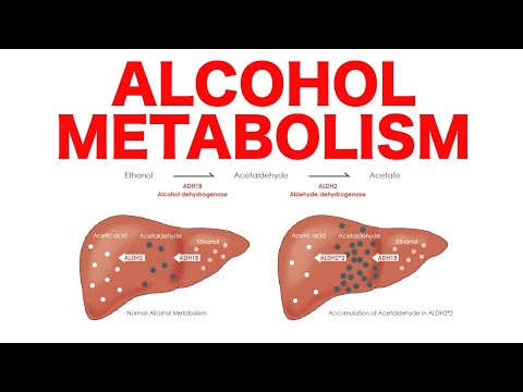 Alcohol Metabolism