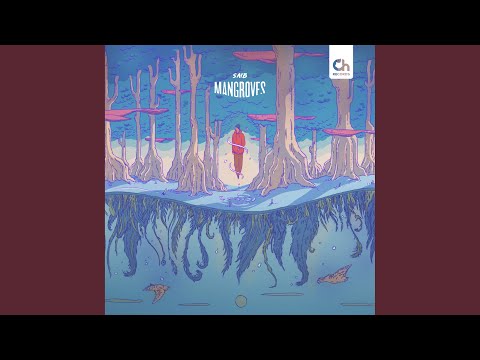 Video thumbnail for Rainforest